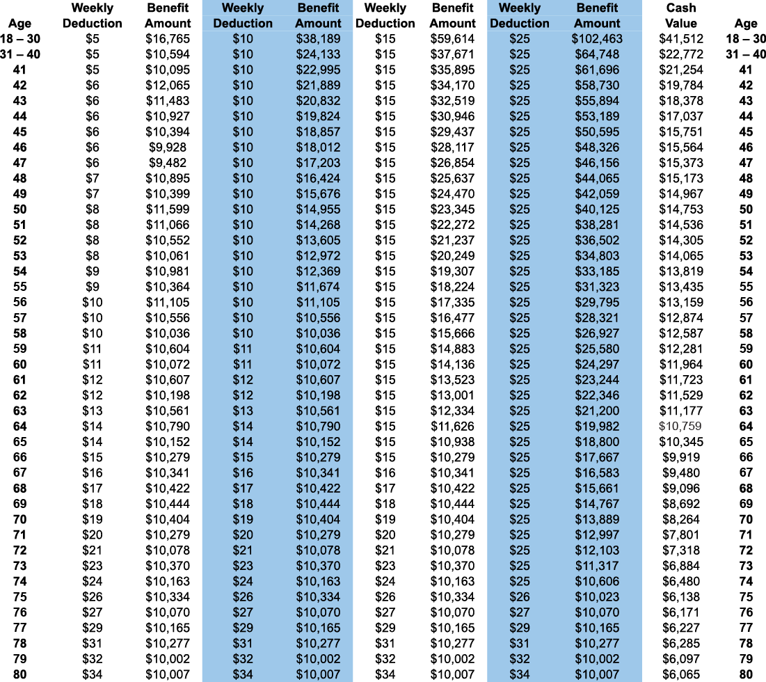 Insurance Rates: Vgli Life Insurance Rates